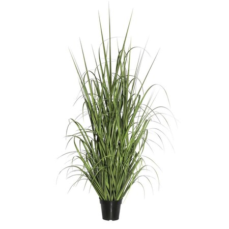 Grandoldgarden X203 Everyday Grass On Pot - 48 in. GR2675585